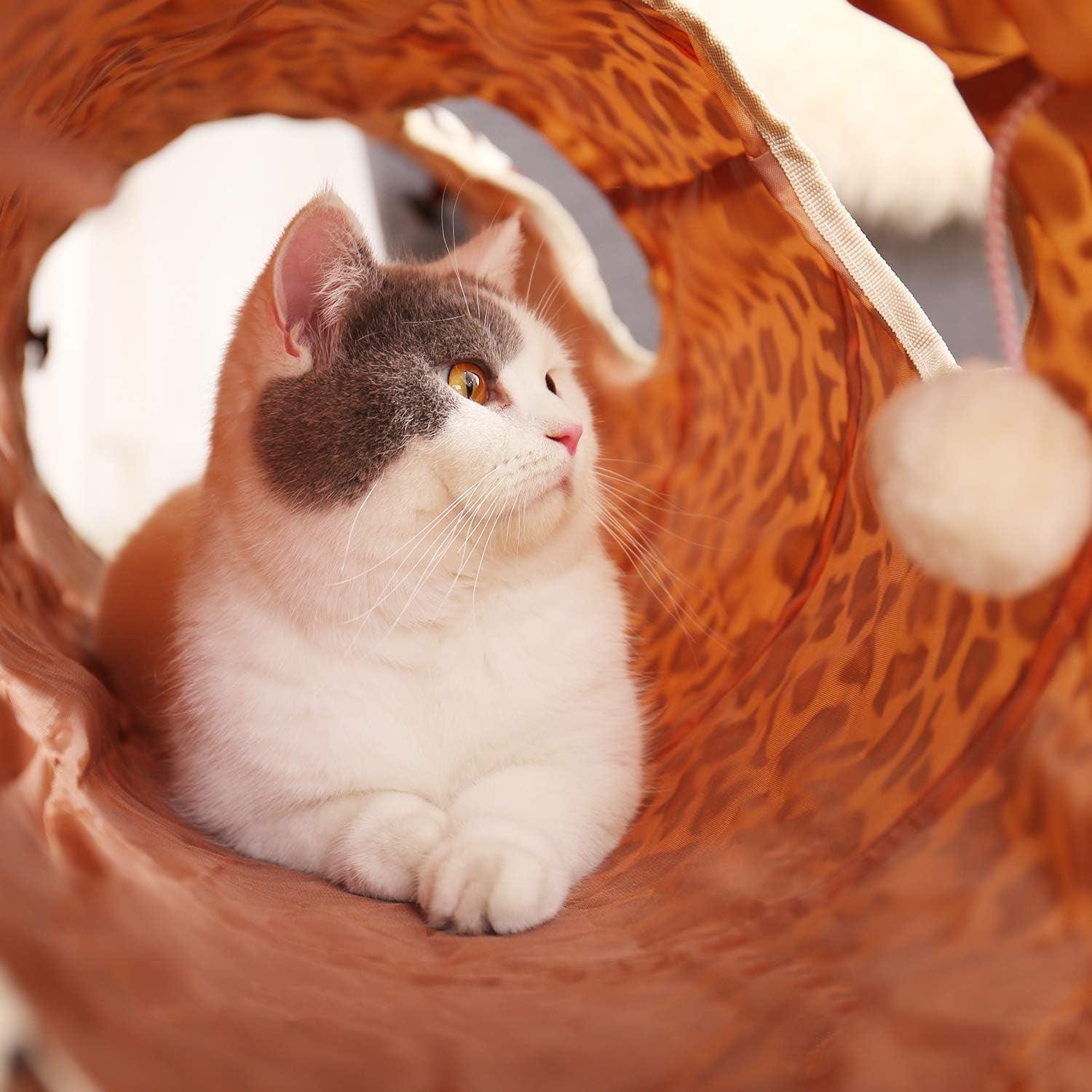 Extra Wide XL Collapsible Cat Tunnel for Large Cats and Rabbits - 51" x 12" with 12-Inch Diameter for Enhanced Playtime