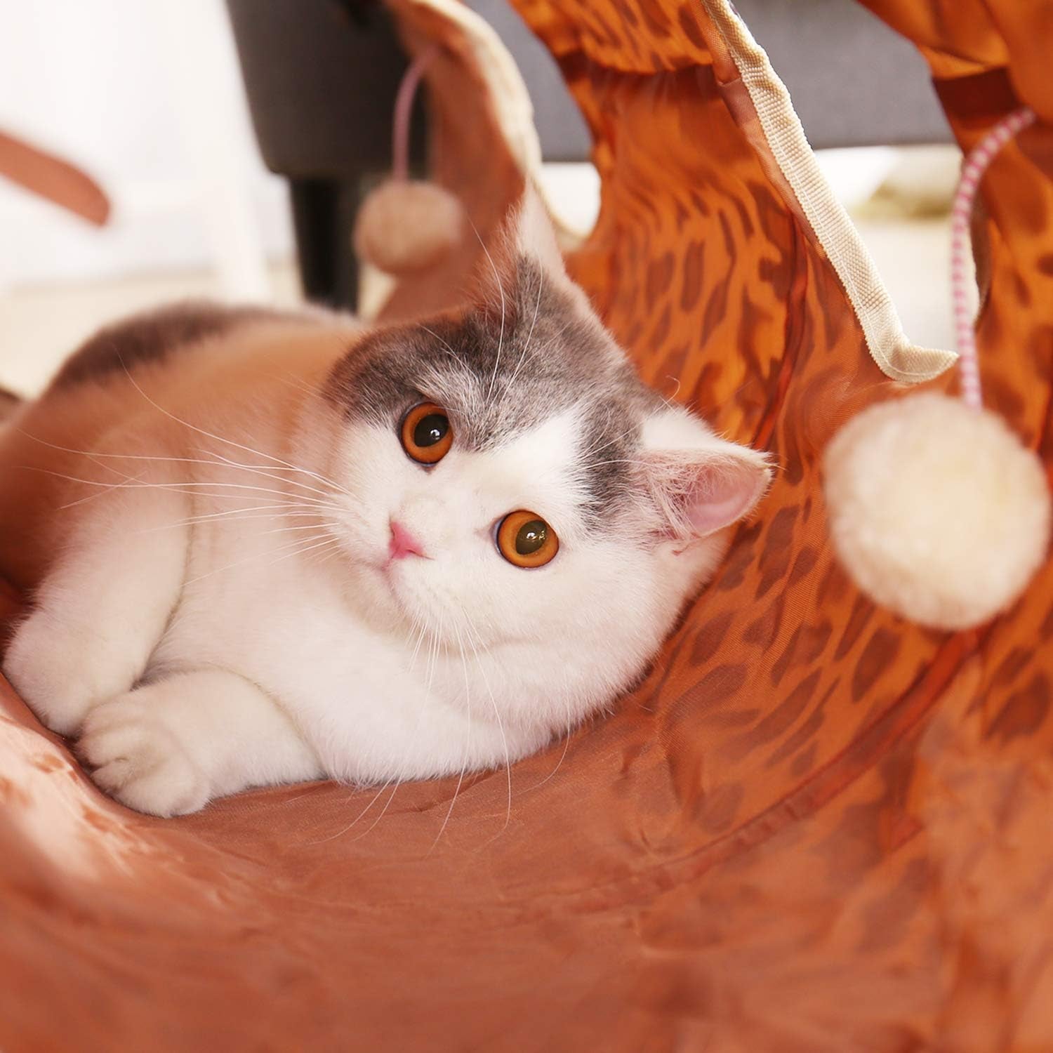 Extra Wide XL Collapsible Cat Tunnel for Large Cats and Rabbits - 51" x 12" with 12-Inch Diameter for Enhanced Playtime