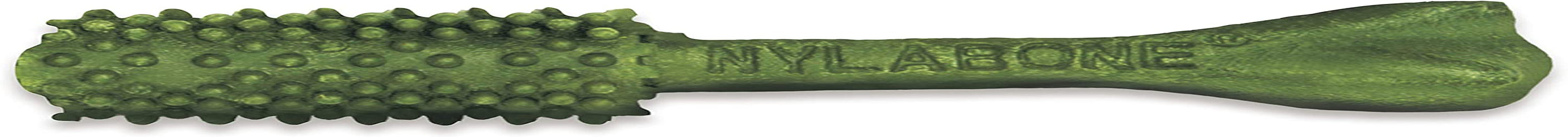 Nutri Dent Natural Dental Treats for Dogs - Medium Size (40 Count) - Effective Teeth Cleaning and Breath Freshening Solution